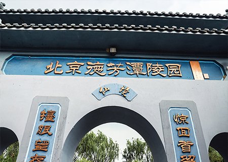 陵园环境